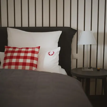 Schittlerhaus Pensjonat 4*