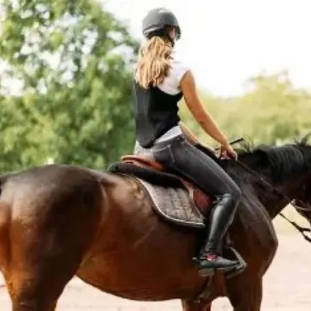 Schittlerhaus Oberstdorf