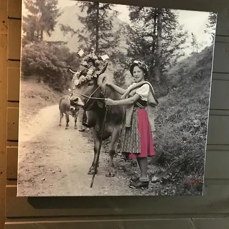 Schittlerhaus Casa de hóspedes 4*