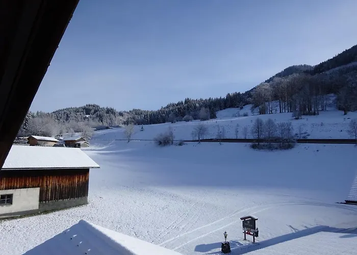 ゲストハウス Schittlerhaus 4*